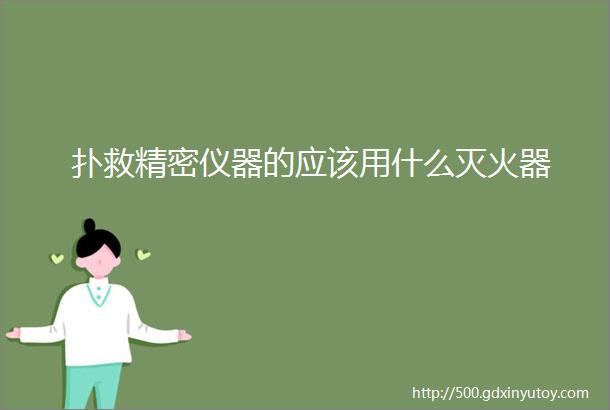 扑救精密仪器的应该用什么灭火器