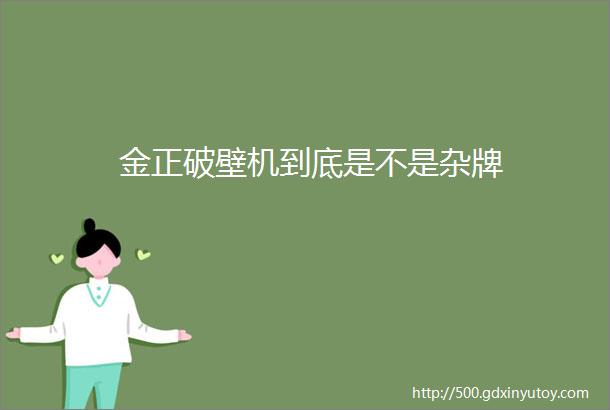 金正破壁机到底是不是杂牌